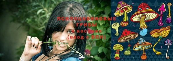 ГАЛЛЮЦИНОГЕННЫЕ ГРИБЫ Волоколамск