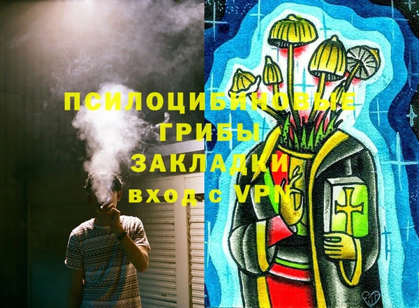 ГАЛЛЮЦИНОГЕННЫЕ ГРИБЫ Волоколамск