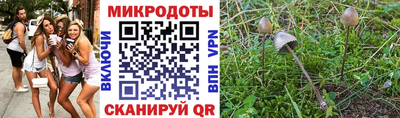 блэк спрут сайт  дарнет шоп  Дербент  Галлюциногенные грибы мицелий 